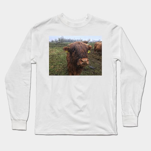 Scottish Highland Cattle Calf 1993 Long Sleeve T-Shirt by SaarelaHighland